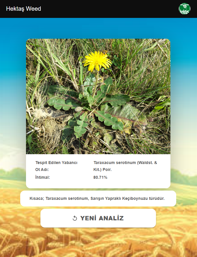 HektaşWeed